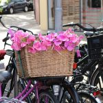 bicycle-basket