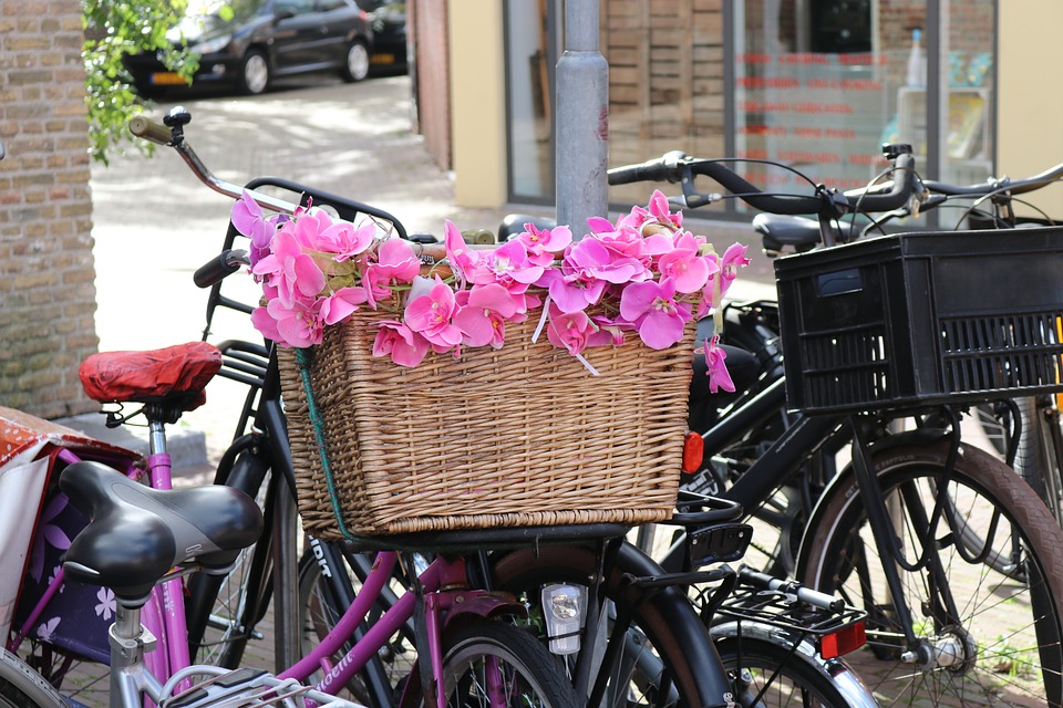 bicycle-basket