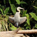 Escapade au Costa Rica