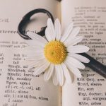 traduction de texte