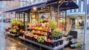 Il suffit de visiter le site Web du fleuriste en ligne et de sélectionner l'arrangement qui vous convient