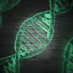 Tout savoir sur les cellules souches