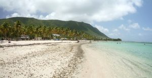 Réserver une voiture de location en Martinique
