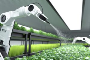 bras robotisés en agriculture
