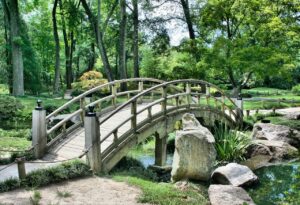 Introduction aux logiciels gratuits de création de jardins paysagers