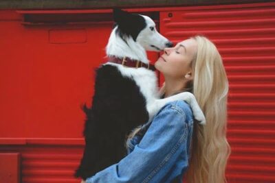 aider votre chien âgé à rester actif et en bonne santé