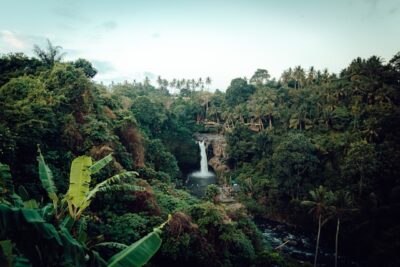 Les réserves naturelles